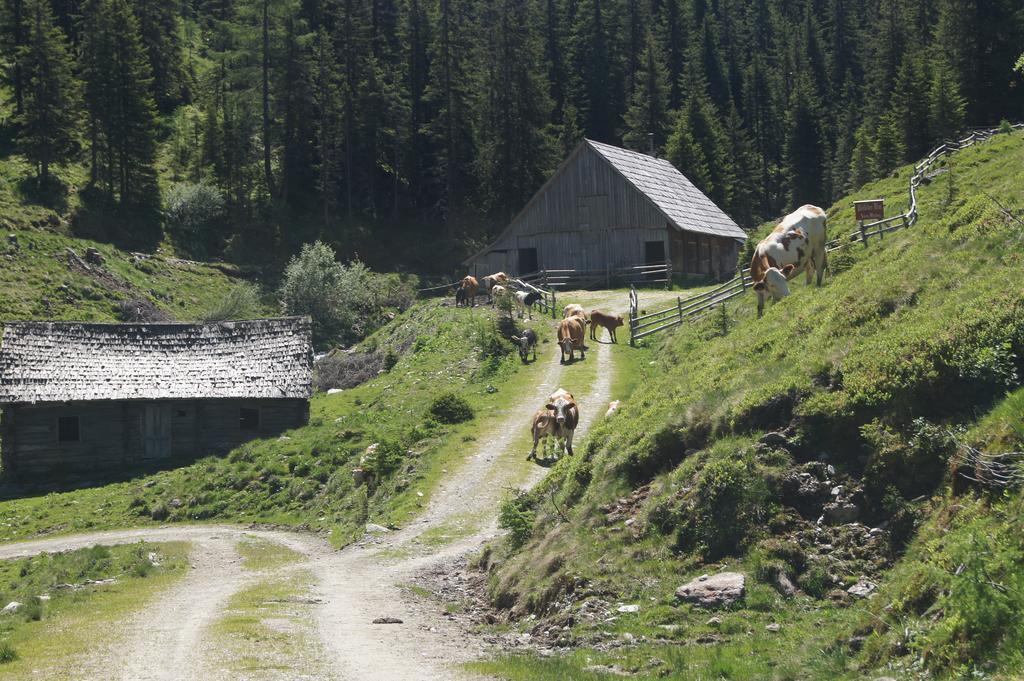 Der Perweinhof Apartamento Donnersbachwald Exterior foto
