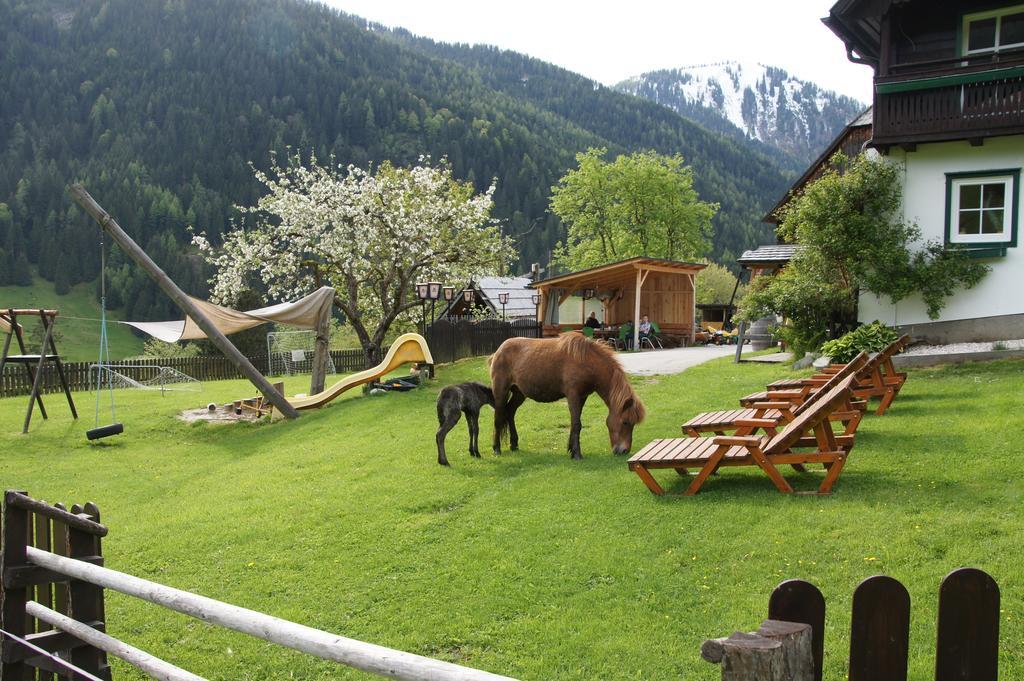 Der Perweinhof Apartamento Donnersbachwald Exterior foto