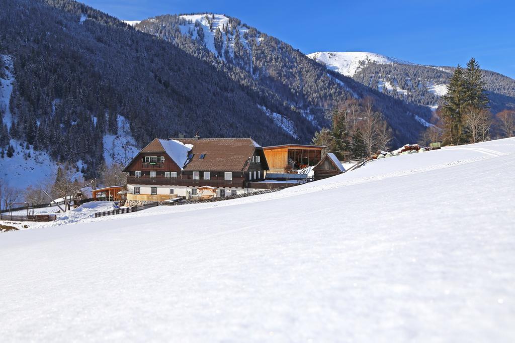 Der Perweinhof Apartamento Donnersbachwald Exterior foto